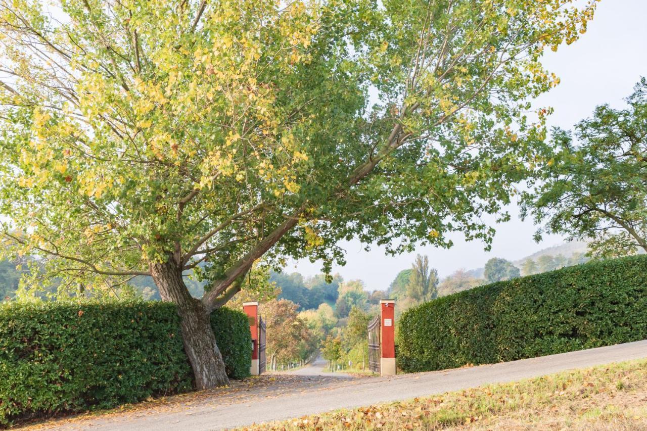 Ca Palazzo Malvasia - Bolognarooms Sasso Marconi Kültér fotó